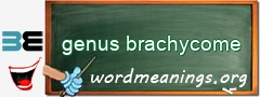 WordMeaning blackboard for genus brachycome